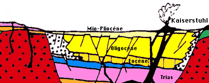Miocne